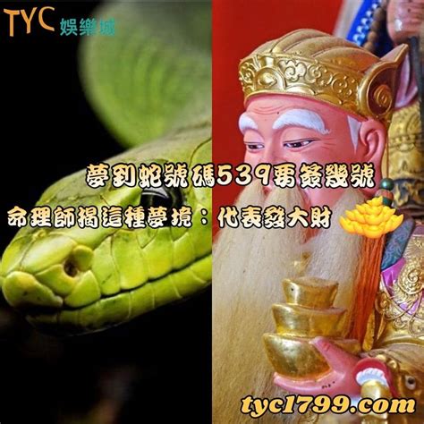 夢到小孩是幾號|夢境解讀數字竟然可以中樂透？整理好多個派網頁的解夢數字－。。